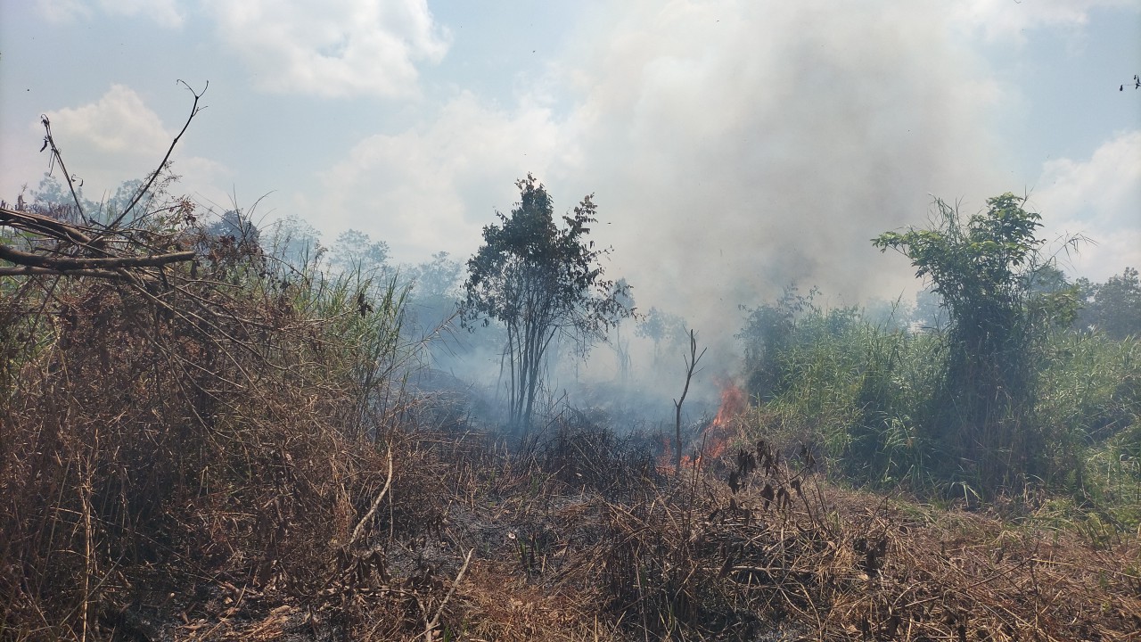 BPBD Samarinda Tegaskan Larangan Buka Lahan dengan Cara Dibakar