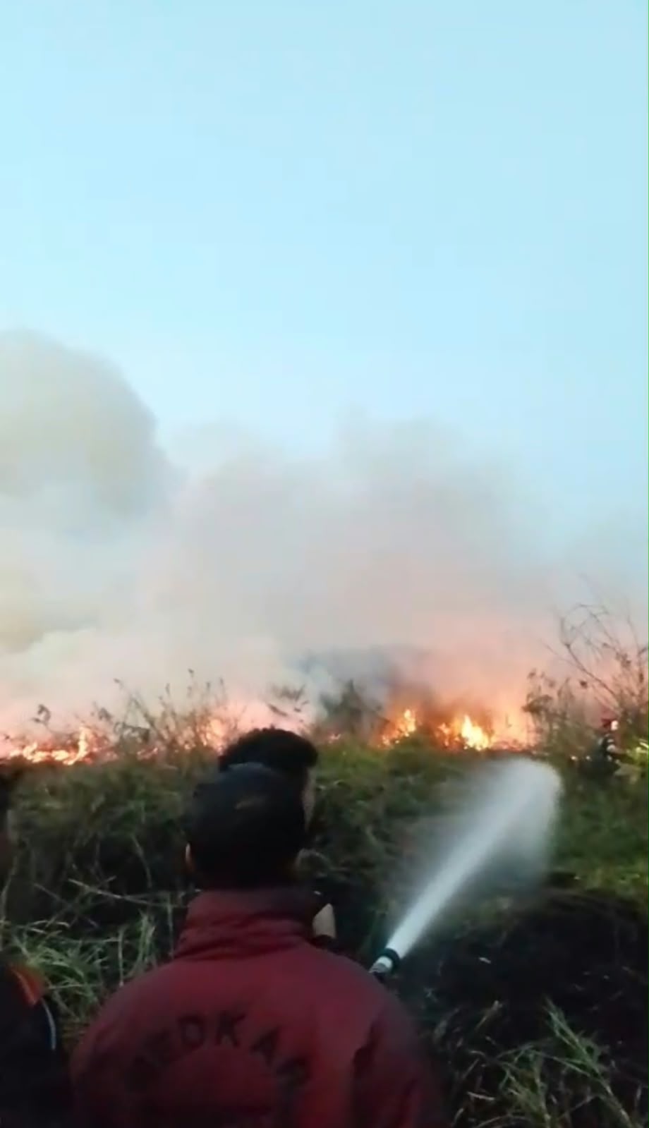 Karhutla di Kaltim Ganas, 5.000 Hektare Terbakar, 300 Hektare Masih Disasar