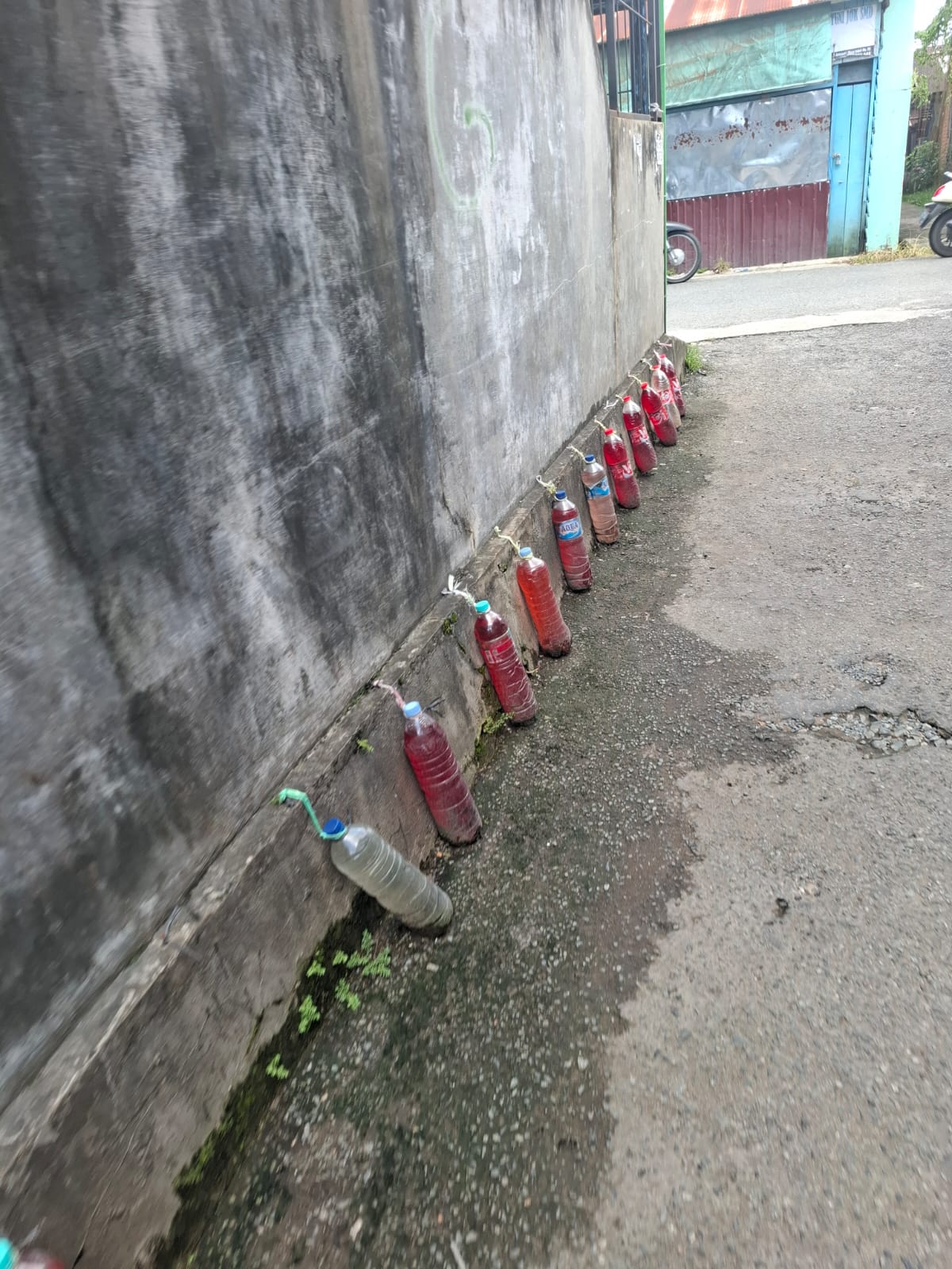 Benarkah Air Merah dalam Kemasan Bisa Menakuti Kucing? Ini Faktanya