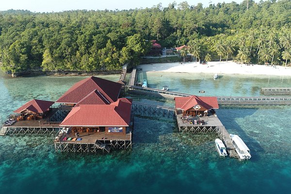 Pemprov Diminta Bergerak Cepat, Terkait Pengelolaan Pulau Kakaban