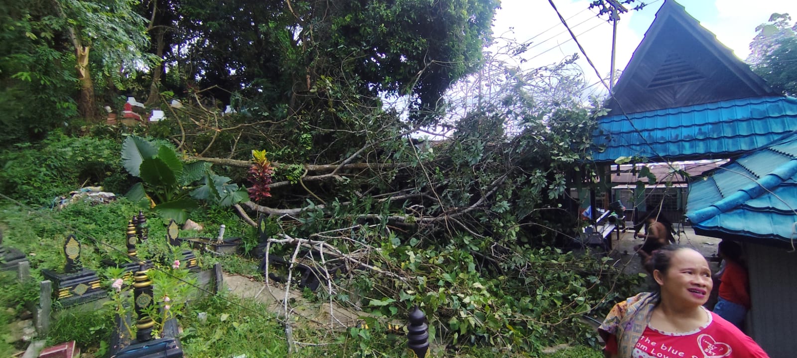Rumah Penjaga Makan Ambruk, Pohon Karet Tumbang di Pemakaman