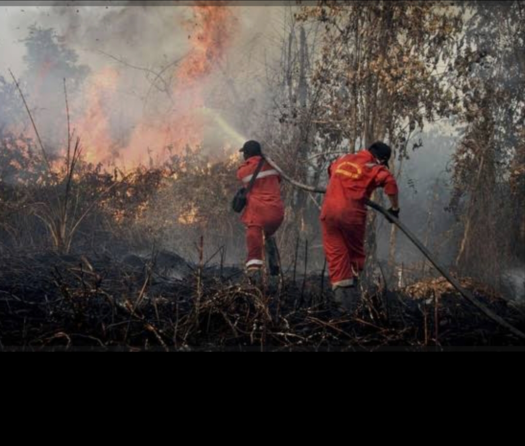 BPBD Samarinda Antisipasi Karhutla, Kemarau Datang Lebih Cepat